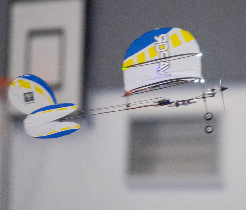 Walthamstow sportshall Nov 2019