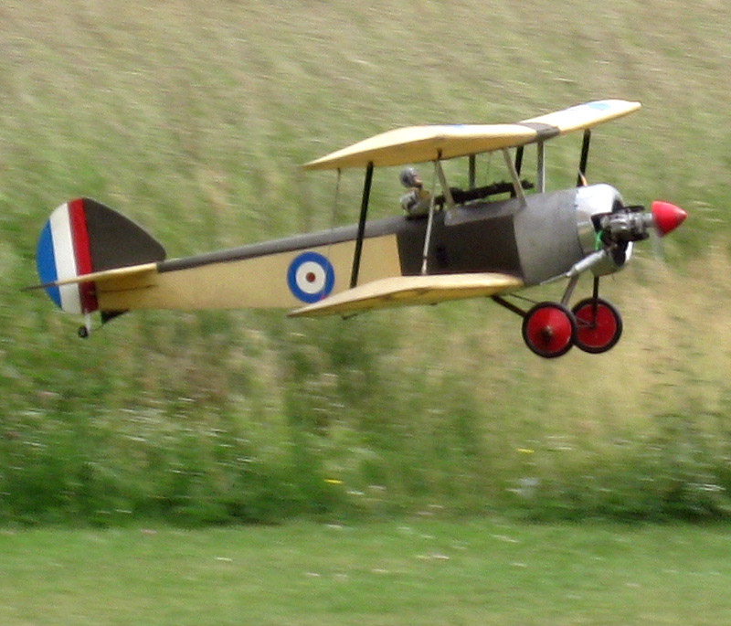 Chingford Plain June 2018
