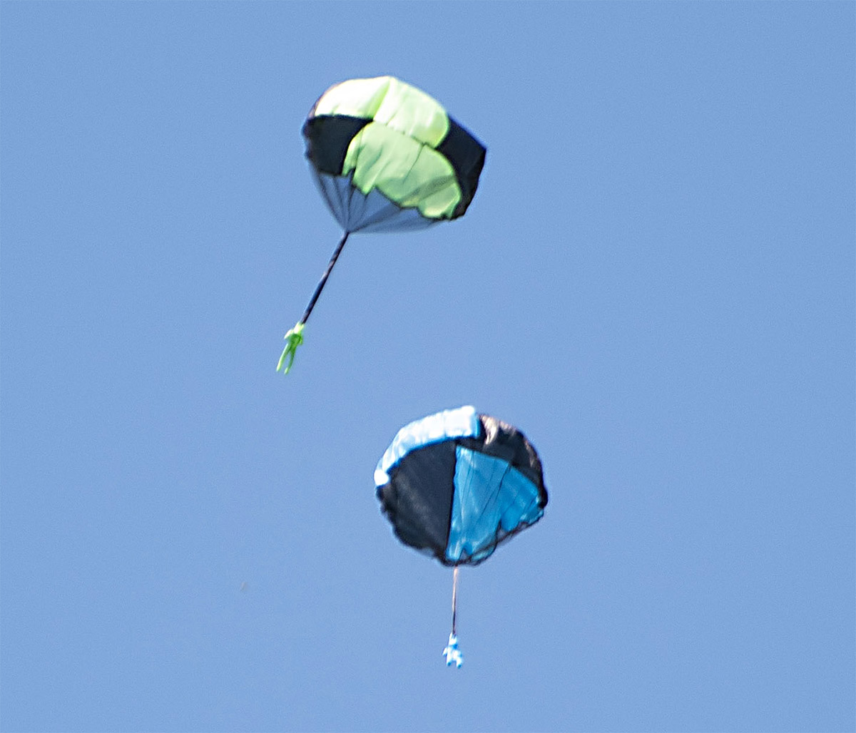 Banks Lane June 2024