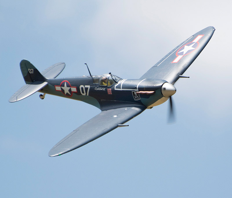 Banks Lane June 2025