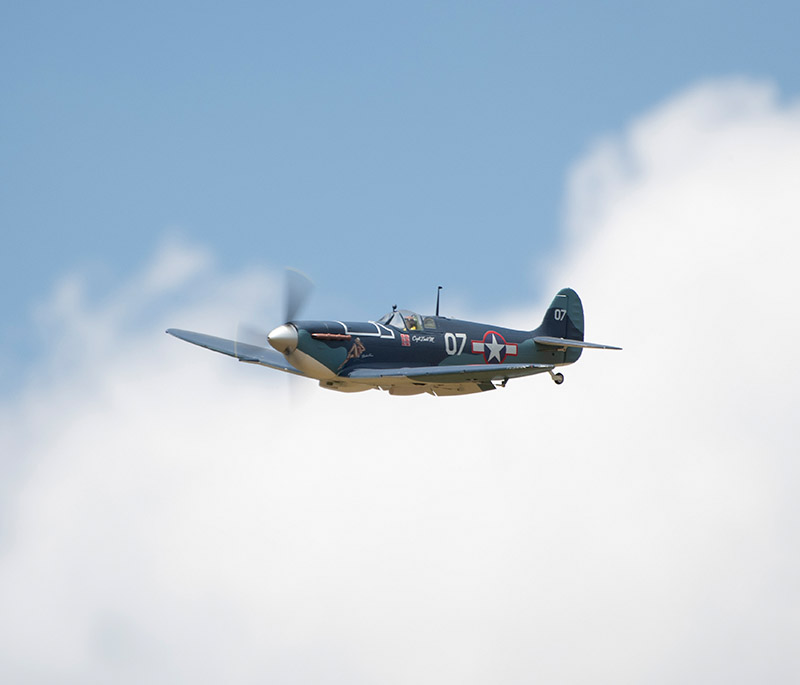 Banks Lane June 2025