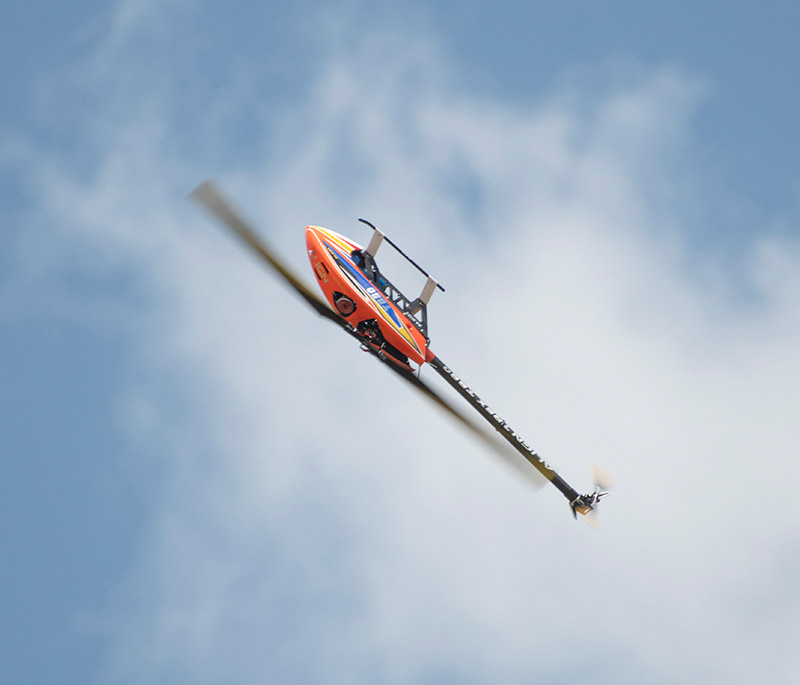 Banks Lane June 2025