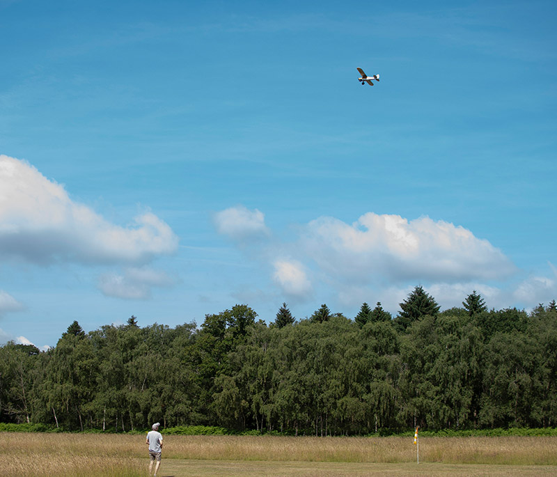 Banks Lane June 2025