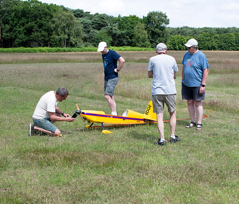 Banks Lane June 2025